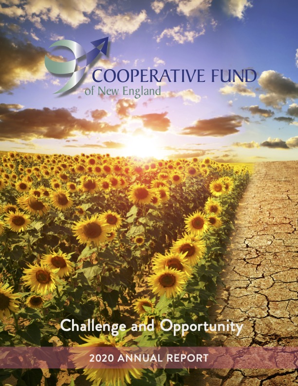 Cover of 2020 annual report